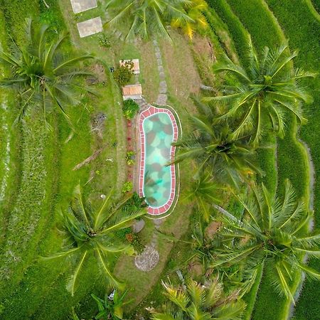 Pesona Bali Ecolodge By Agata Jatiluwih Zewnętrze zdjęcie