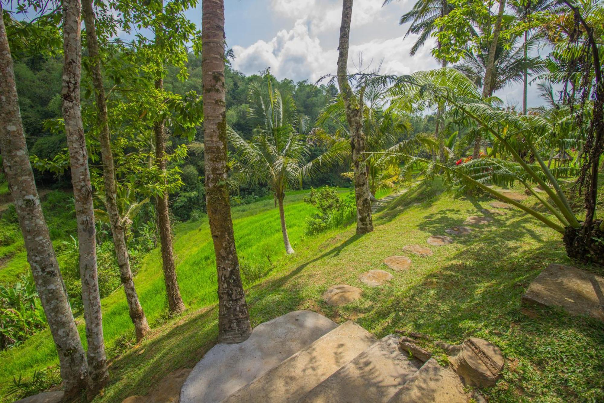 Pesona Bali Ecolodge By Agata Jatiluwih Zewnętrze zdjęcie