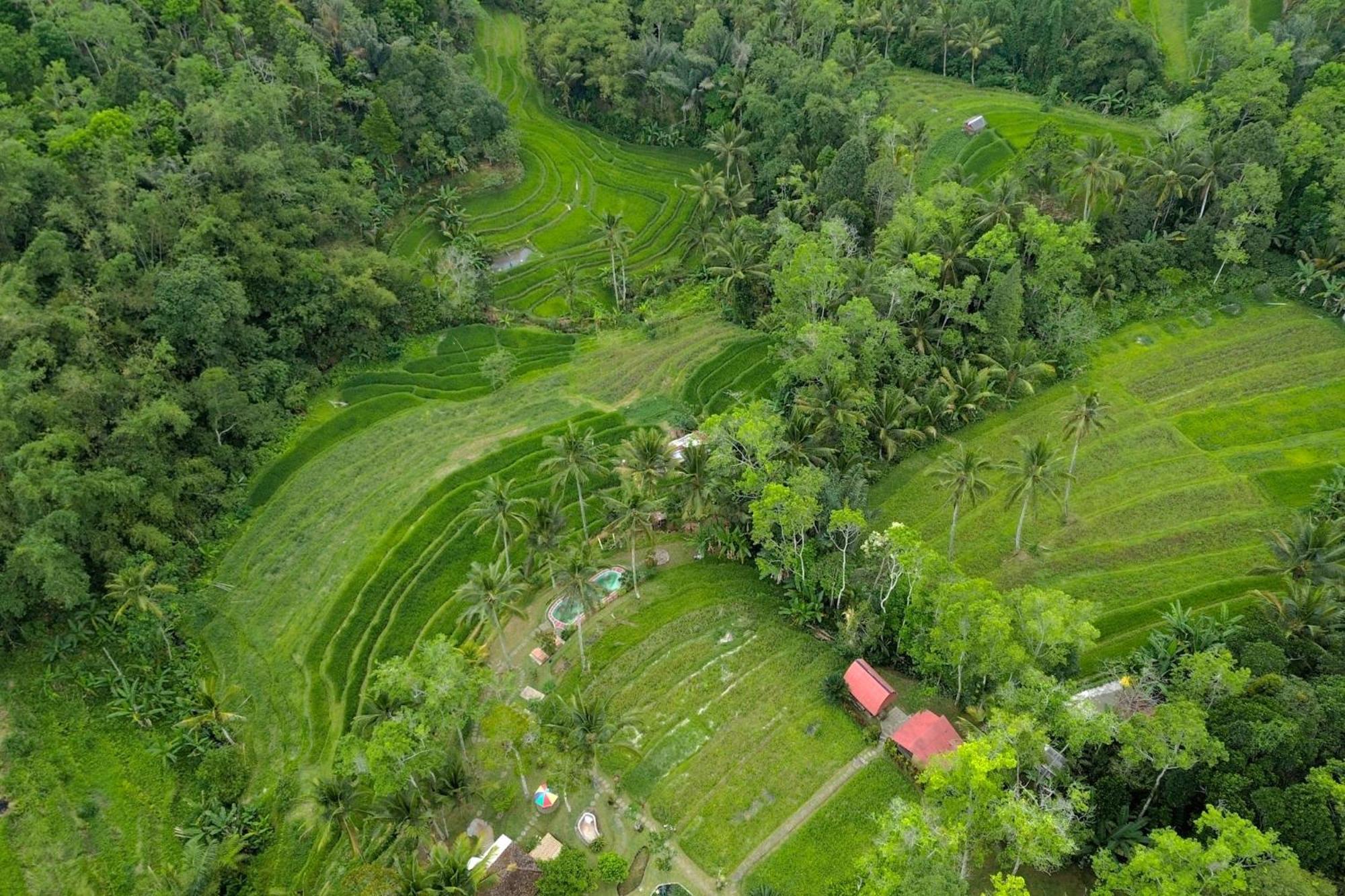 Pesona Bali Ecolodge By Agata Jatiluwih Zewnętrze zdjęcie