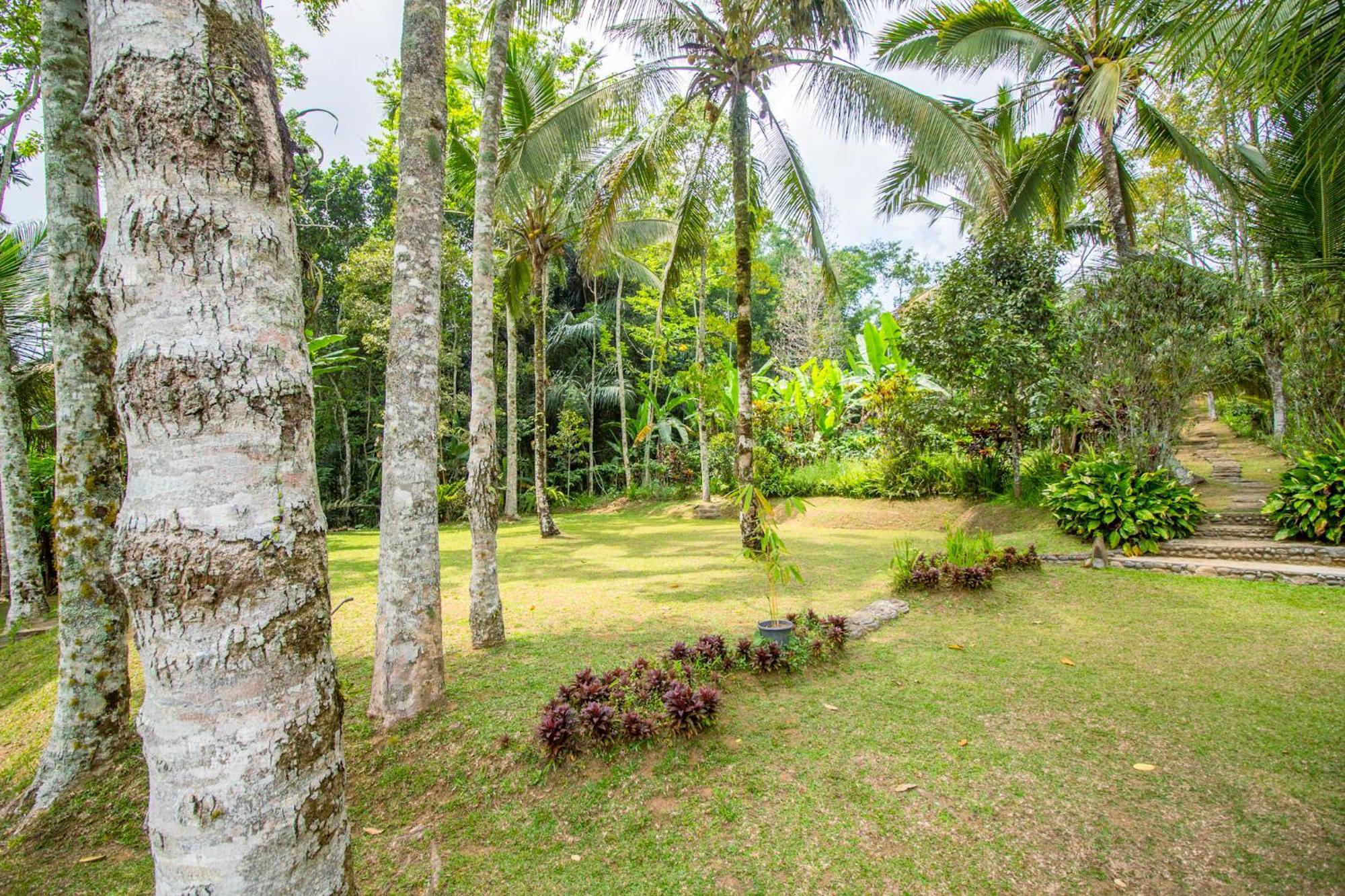 Pesona Bali Ecolodge By Agata Jatiluwih Zewnętrze zdjęcie