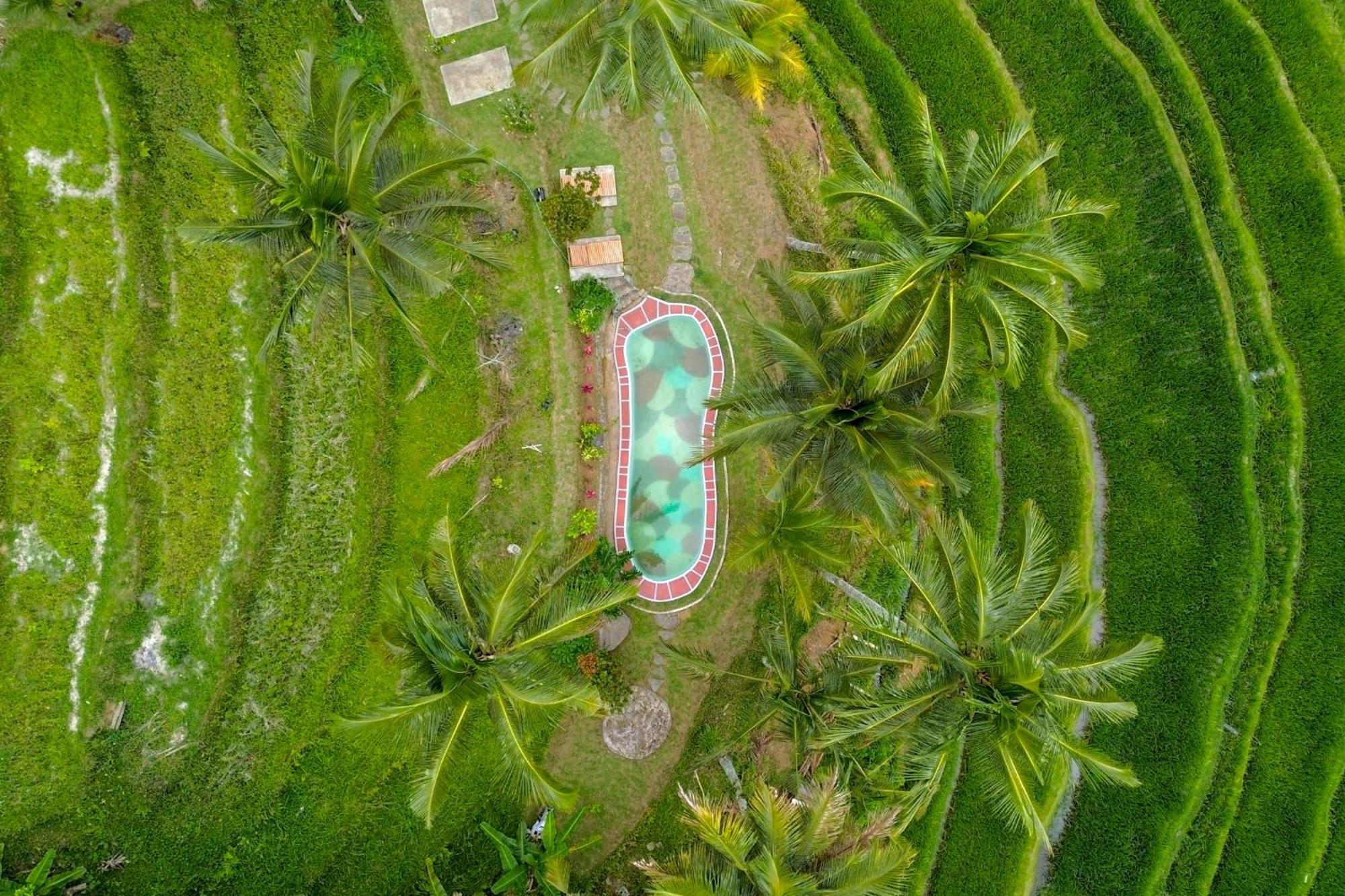 Pesona Bali Ecolodge By Agata Jatiluwih Zewnętrze zdjęcie