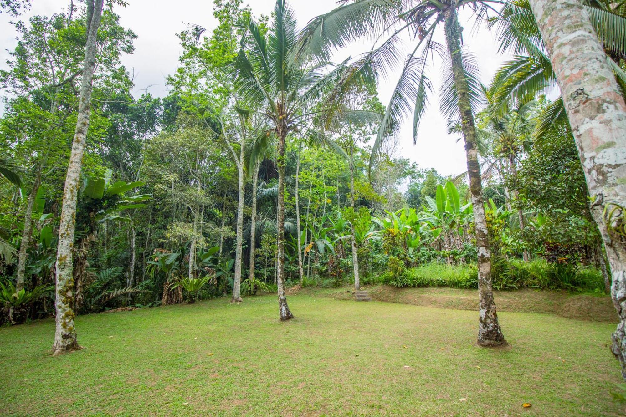 Pesona Bali Ecolodge By Agata Jatiluwih Zewnętrze zdjęcie